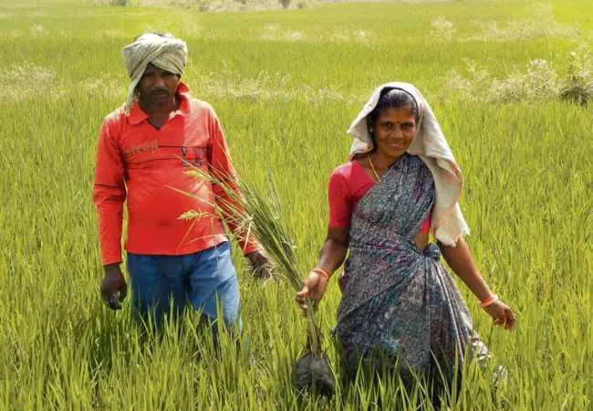 Farmers Development